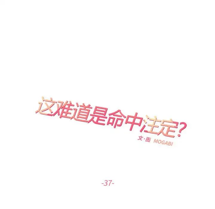 这难道是命中注定第37话