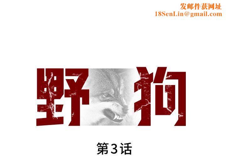 野狗第3话
