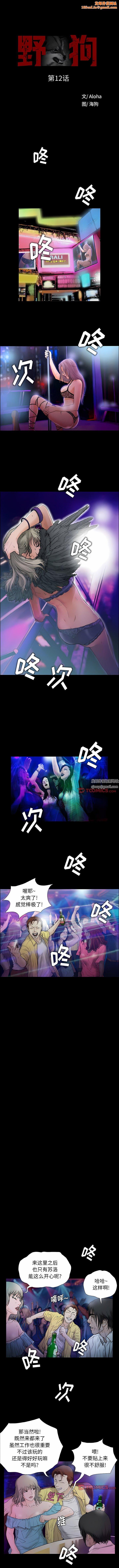 野狗第12话