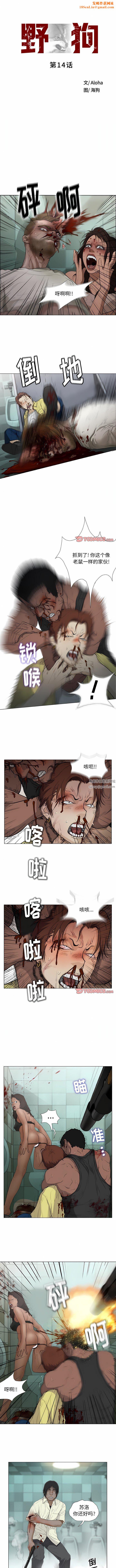 野狗第14话