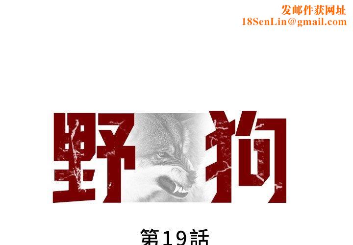 野狗第19话