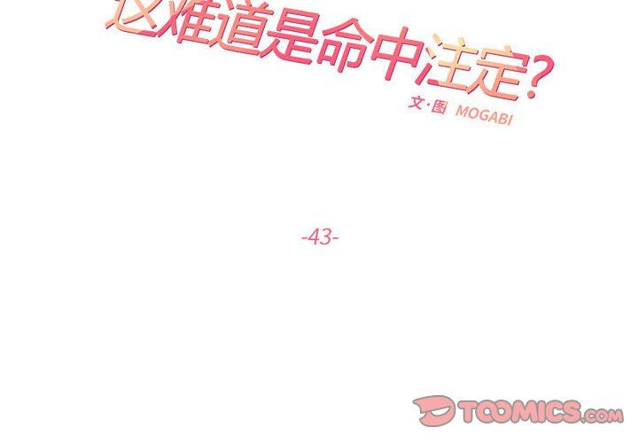 这难道是命中注定第43话