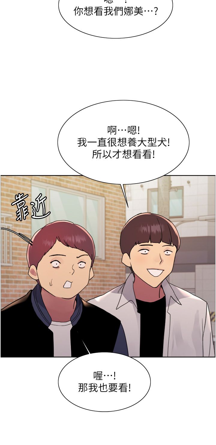 色轮眼第2季第42话-在户外随地便溺的母狗