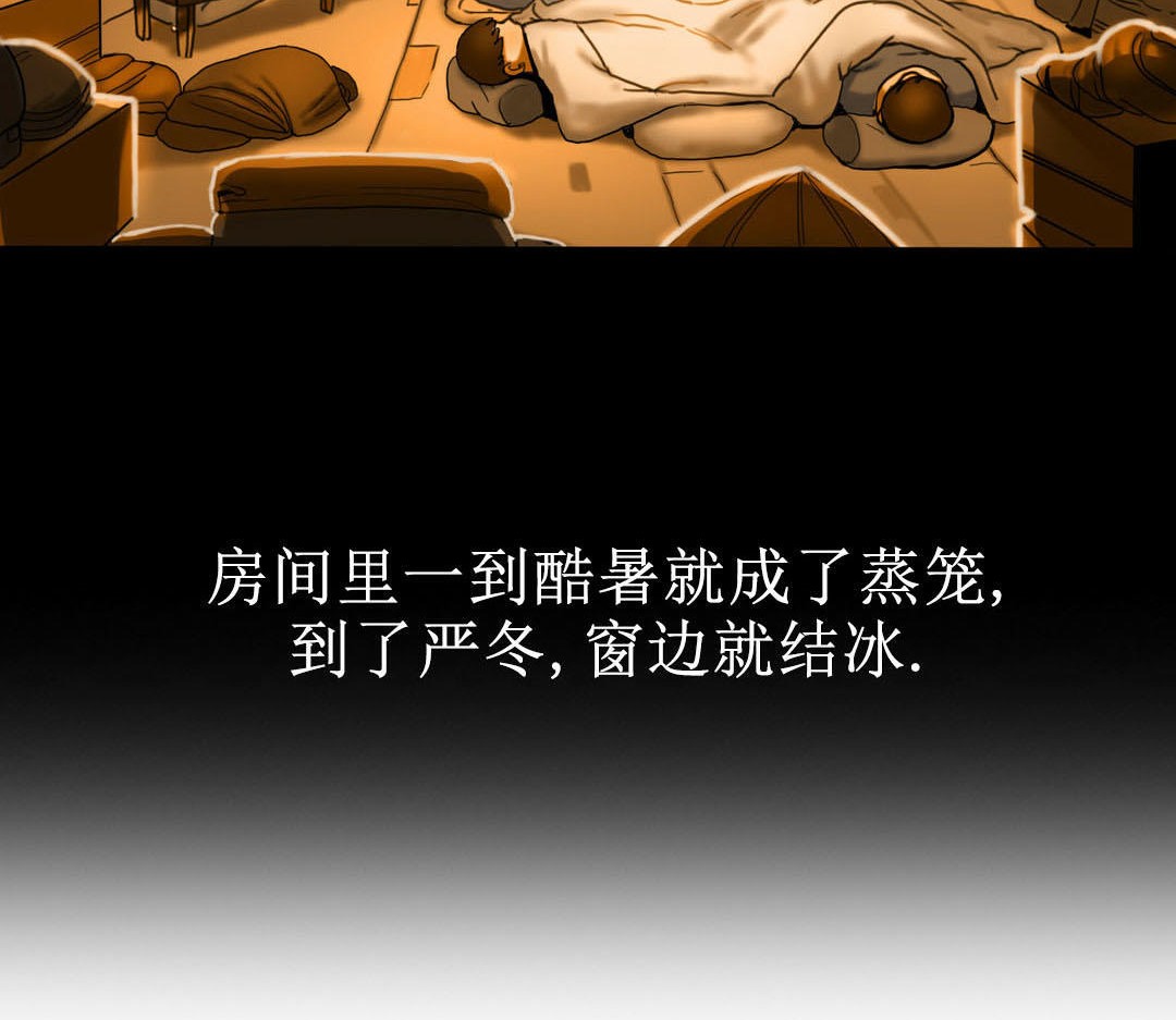 夫人的礼物第7话