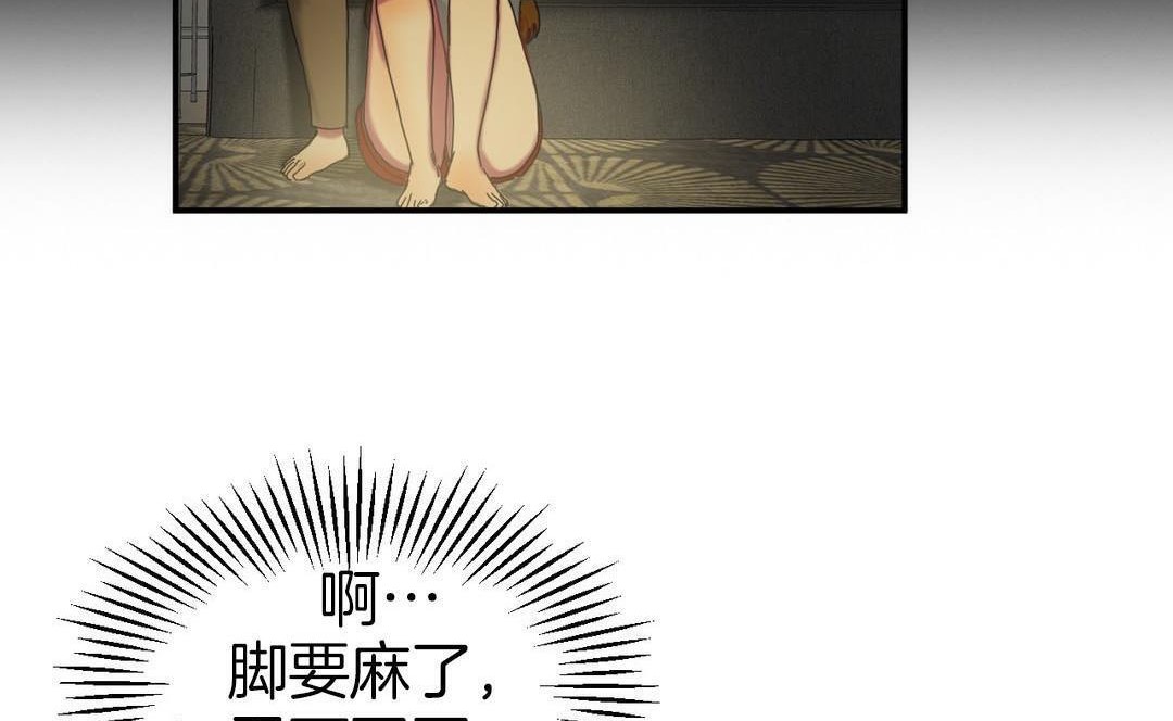 夫人的礼物第9话