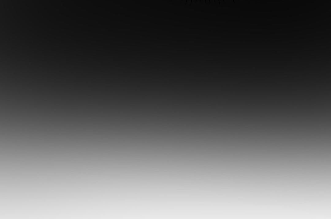 夫人的礼物第17话