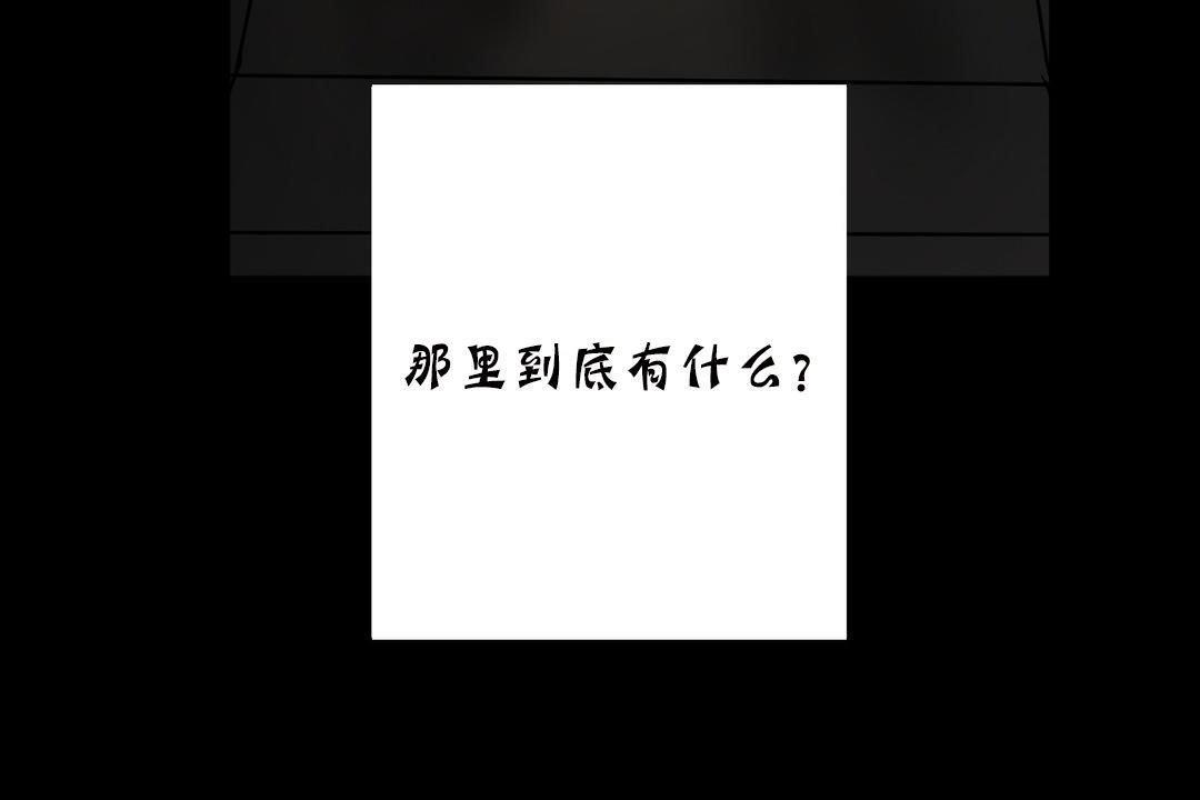 夫人的礼物第19话