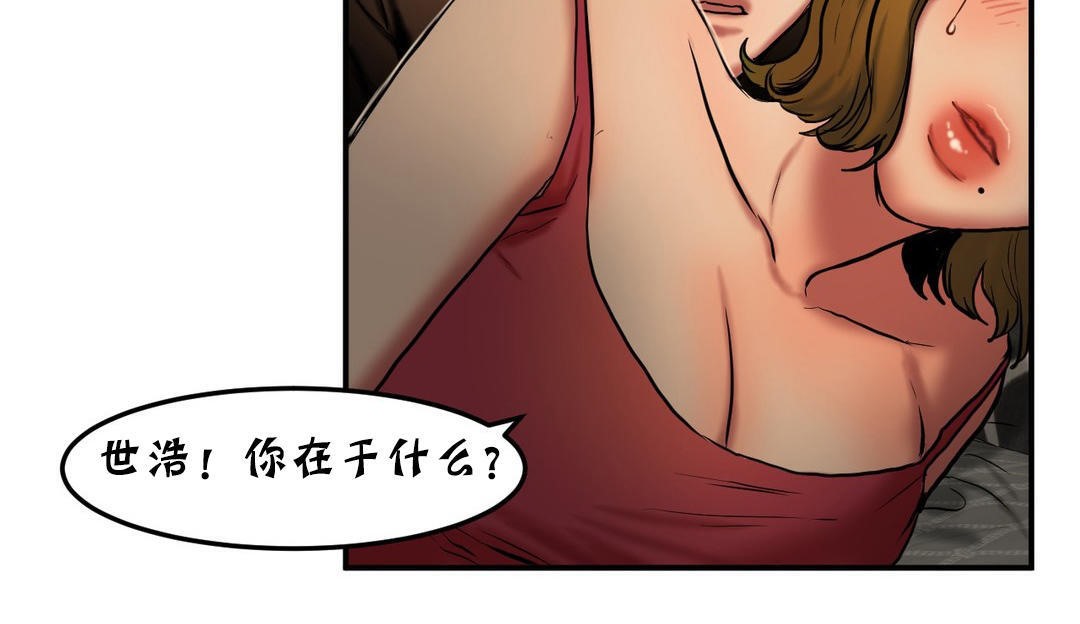 夫人的礼物第26话