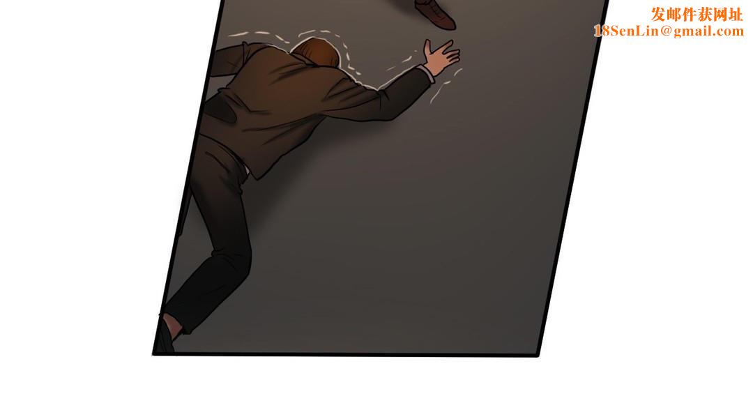 夫人的礼物第47话