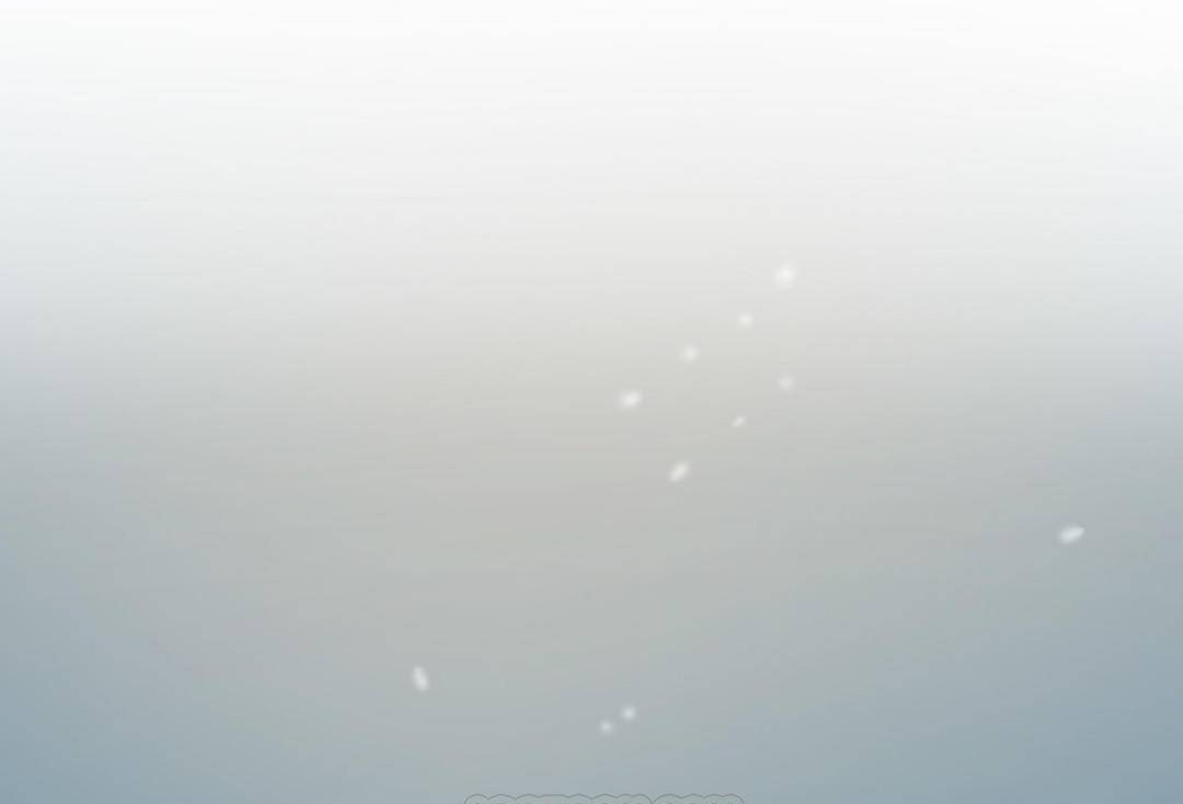 夫人的礼物第55话