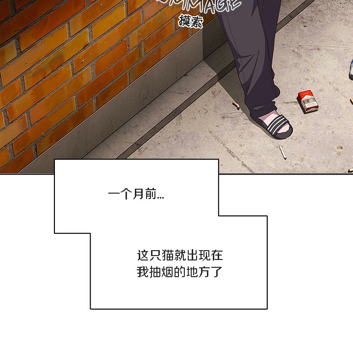 猫猫牵红线第1话