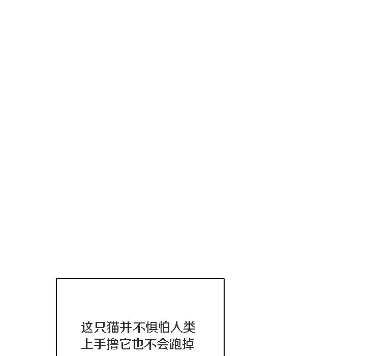 猫猫牵红线第1话