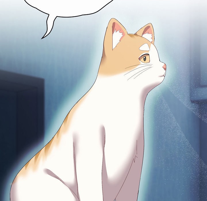 猫猫牵红线第2话