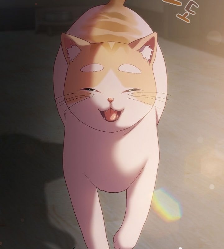猫猫牵红线第9话