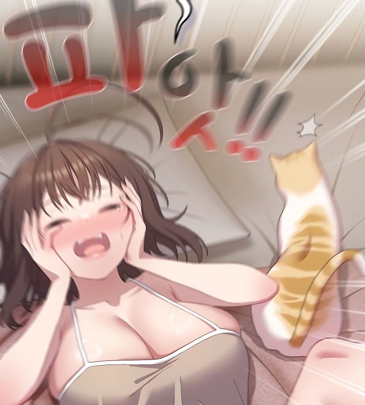 猫猫牵红线第11话