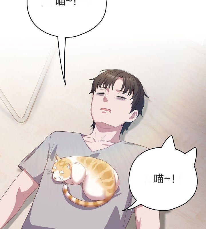 猫猫牵红线第12话