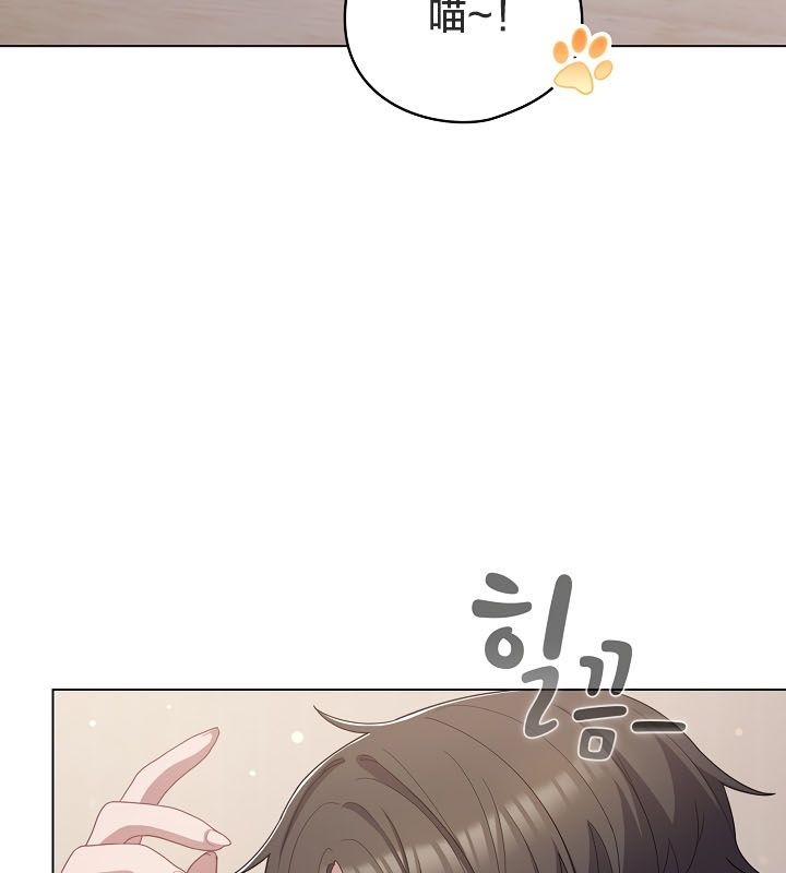 猫猫牵红线第13话