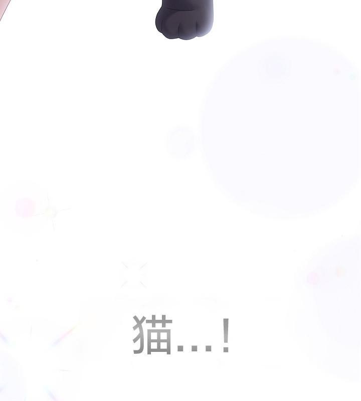 猫猫牵红线第14话