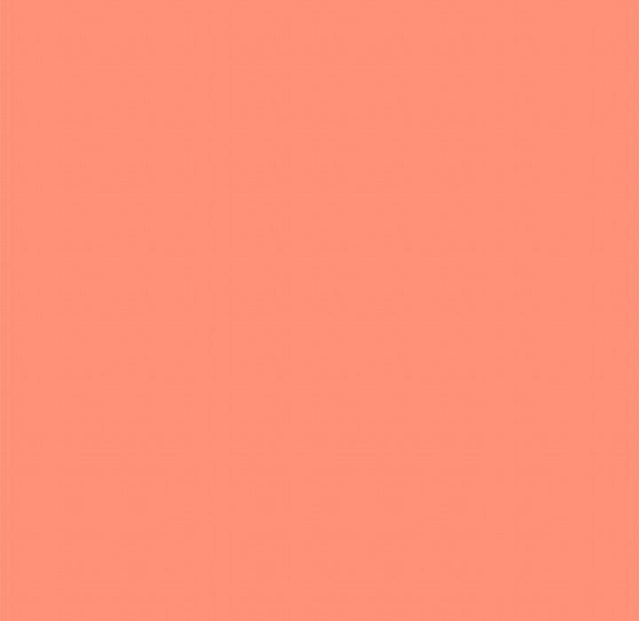 缺德邻居难相处第17話