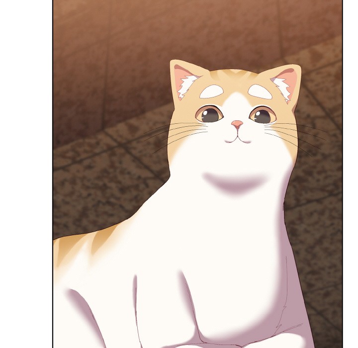 喵来的恋爱第1话