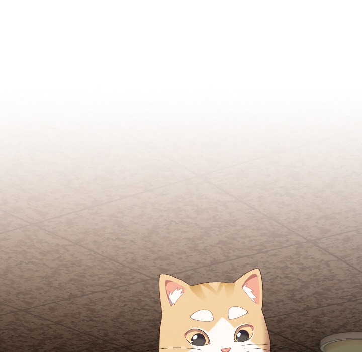 喵来的恋爱第1话