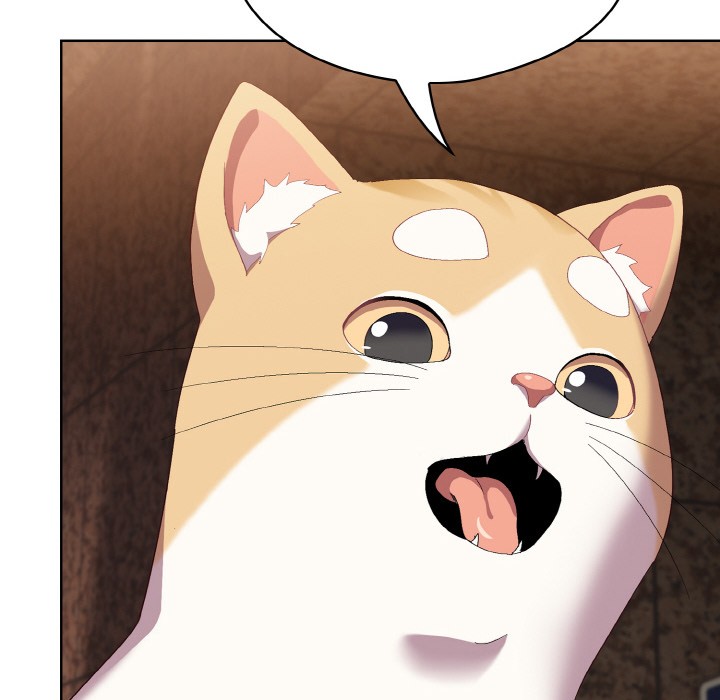 喵来的恋爱第1话