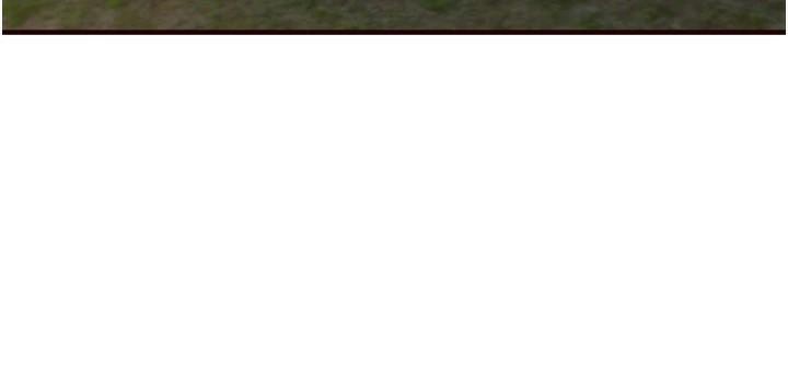 熟女自助餐第28話-道歉要露出胸部!