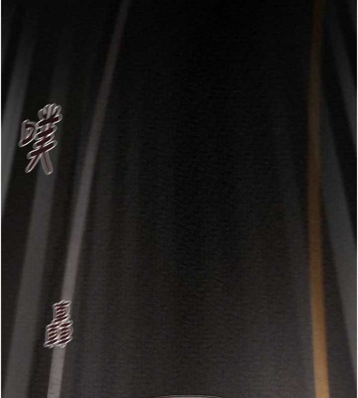 掠夺行动第47話-按照計畫進行