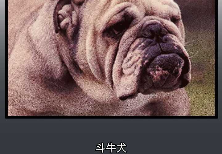 分身使我无限变强第7话