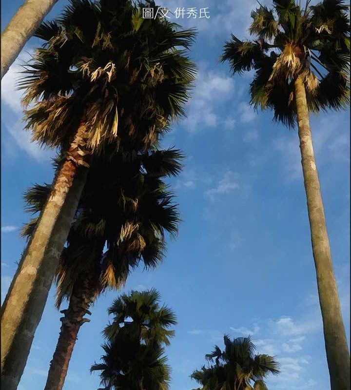 纵夏夜之梦(无码版)第45話-好想大幹特幹