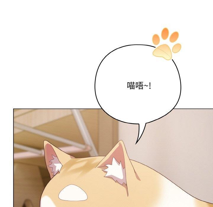 喵来的恋爱第12話