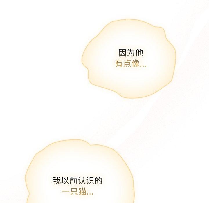 喵来的恋爱第19話