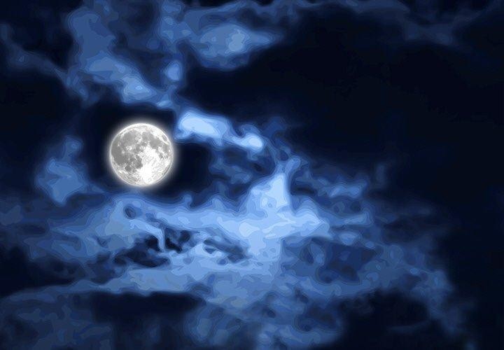 黑道X上班族第14話