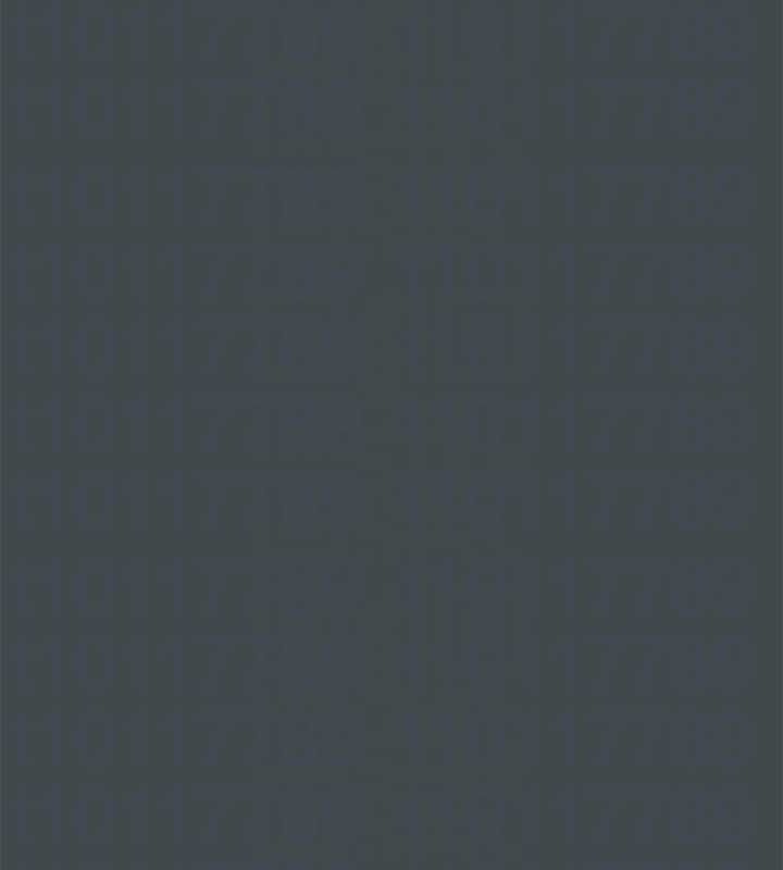 纵夏夜之梦(无码版)第112話-人生中最美好的夏天