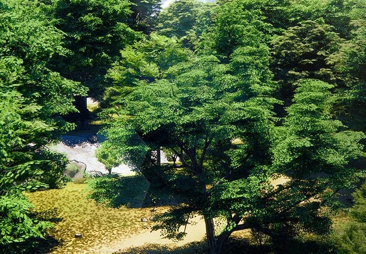 男人稀缺的异世界第1话