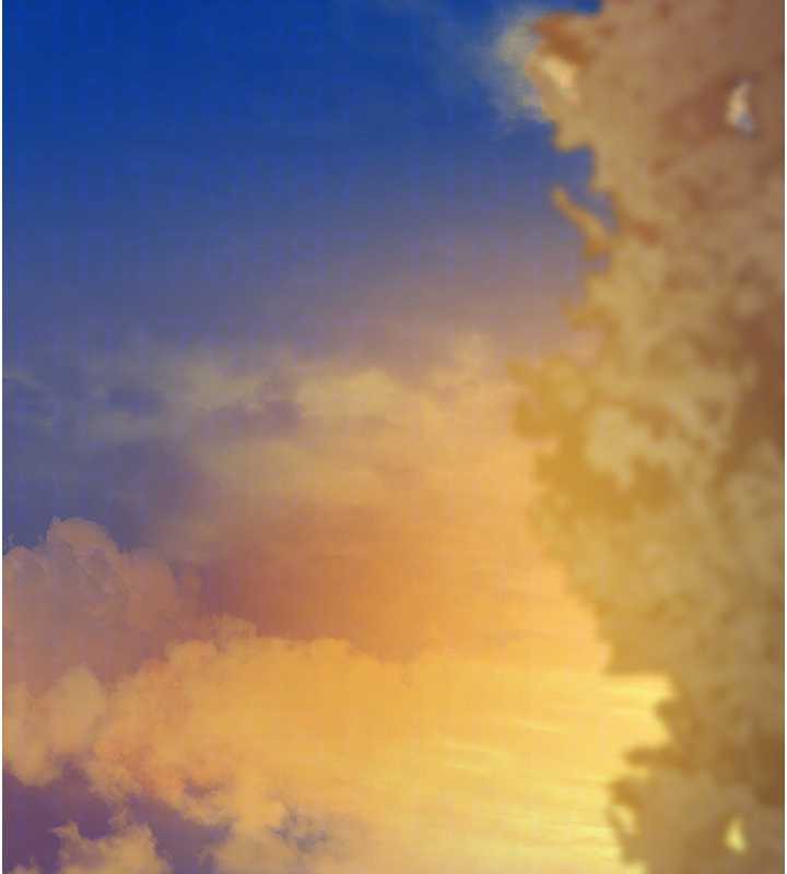 垃圾堆捡到宠物系萌妹第17話-永遠是我最愛的哥