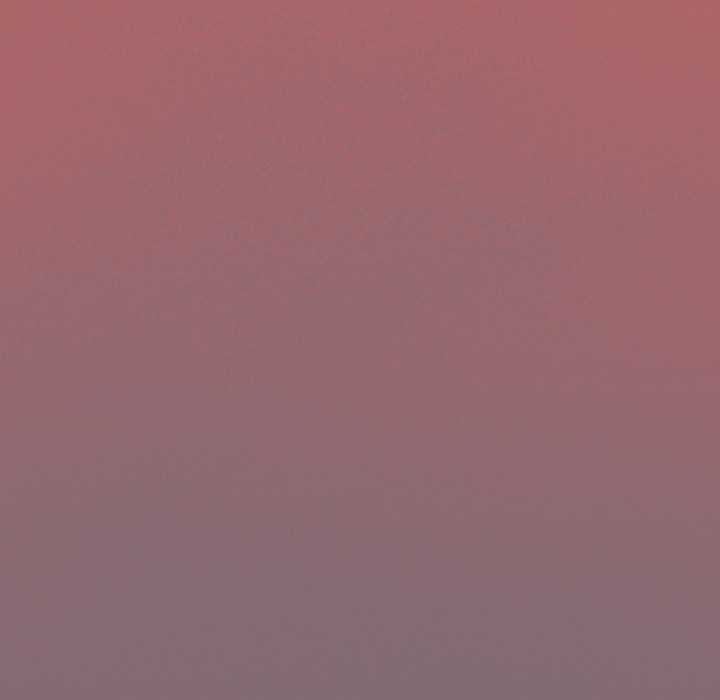 缺德邻居难相处第54話