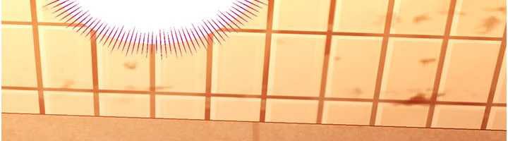 倒追游戏第21話-在戶外裸體散步