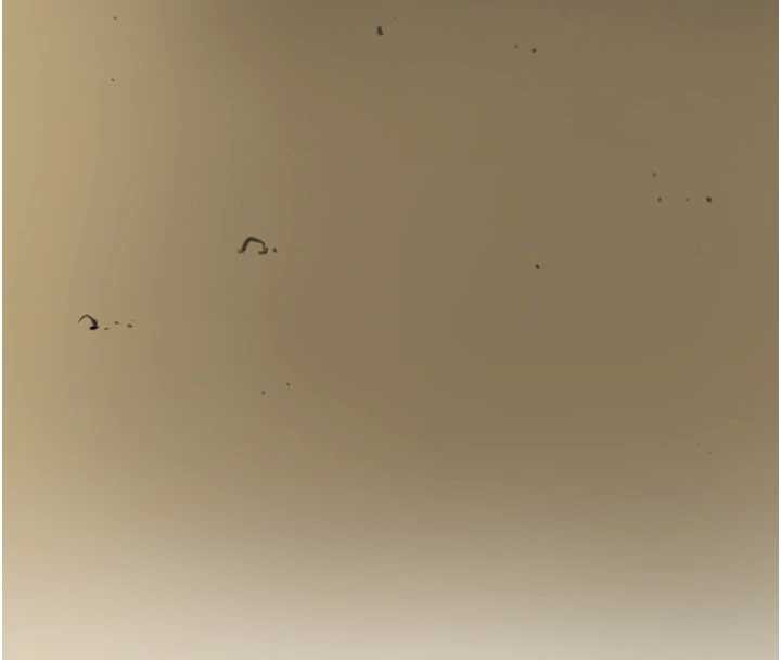 花容湿色:取花点第77話-醉醺醺的大人亂入