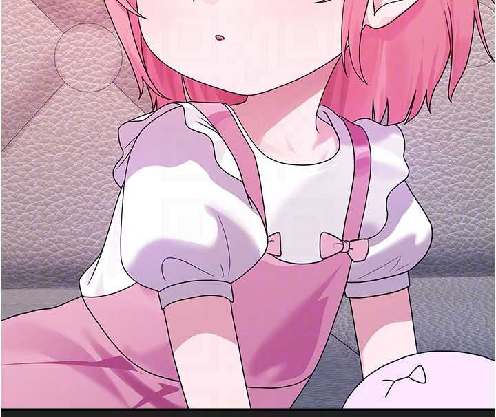 垃圾堆撿到寵物系萌妹第23話-哪裡才是棲身之地?