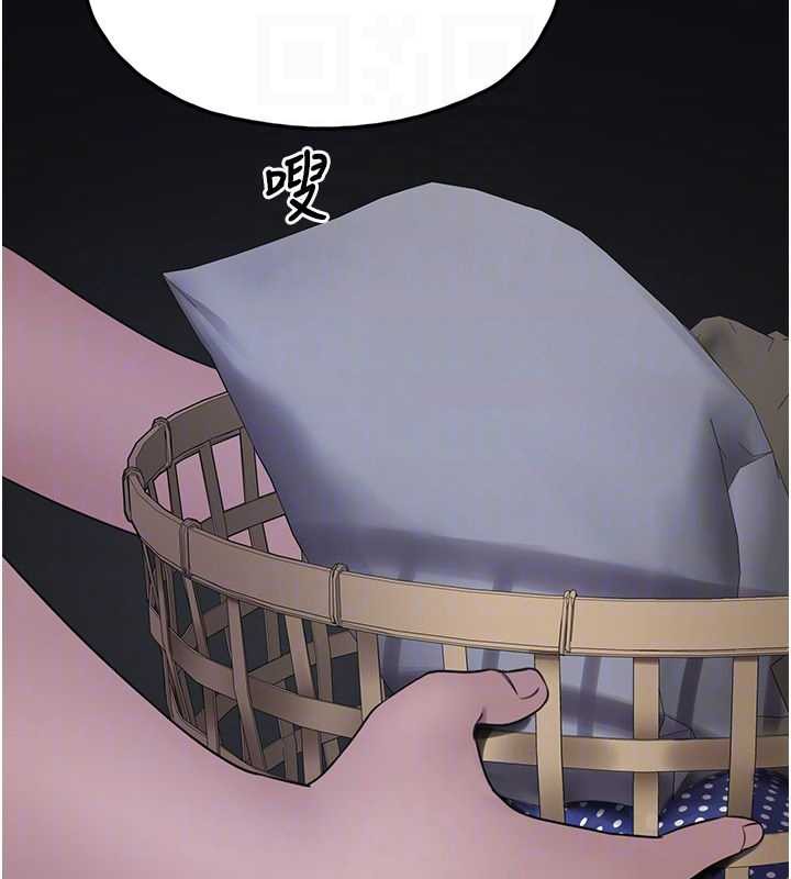 垃圾堆撿到寵物系萌妹第23話-哪裡才是棲身之地?