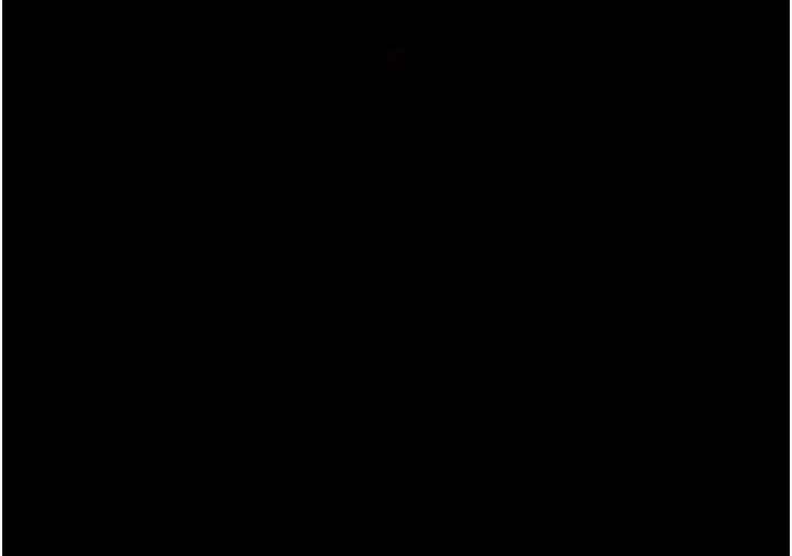 最強家丁第63話-得寵的養子