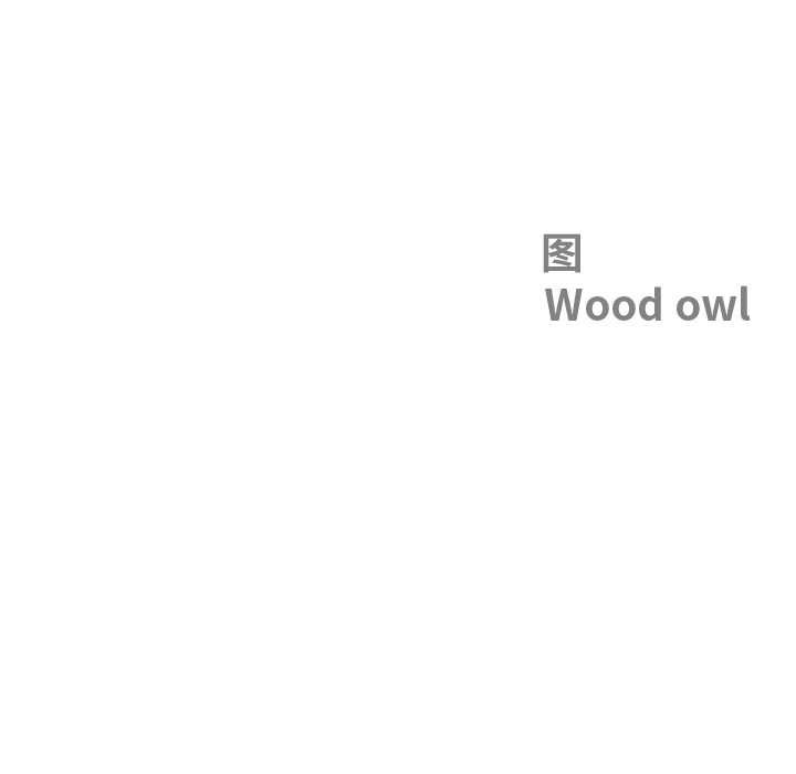 最强男人第49話