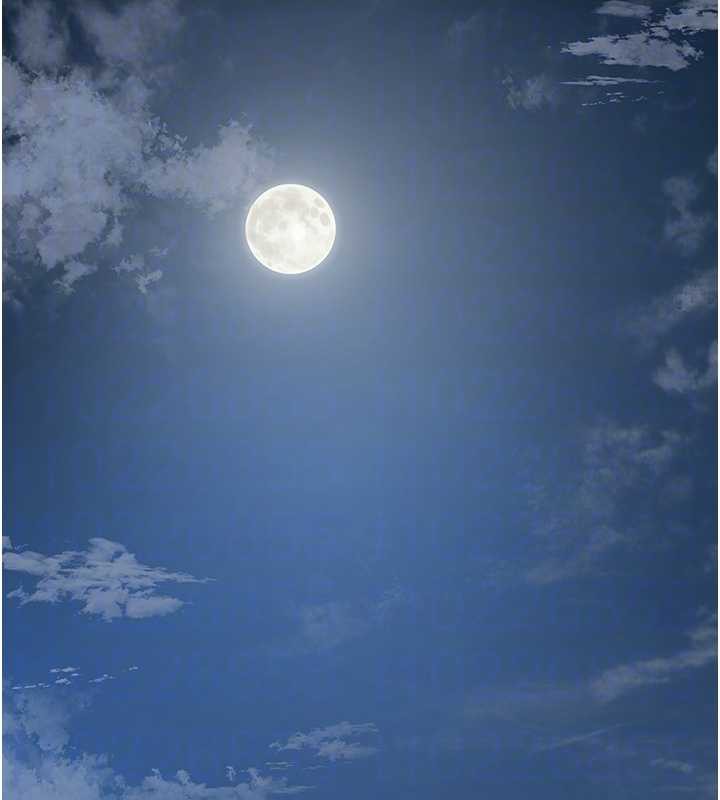 花容濕色:取花點第79話-昨晚你真粗魯…