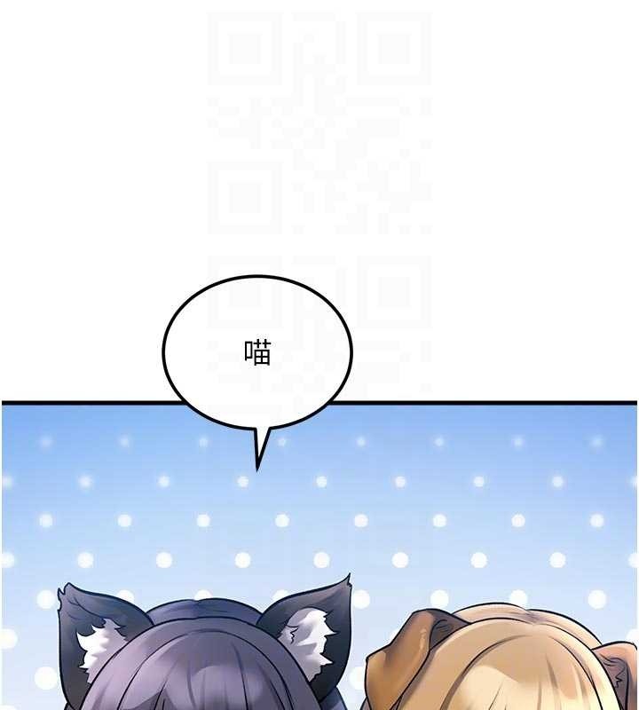 特色新视界第16話-主人是狗派還是貓派?