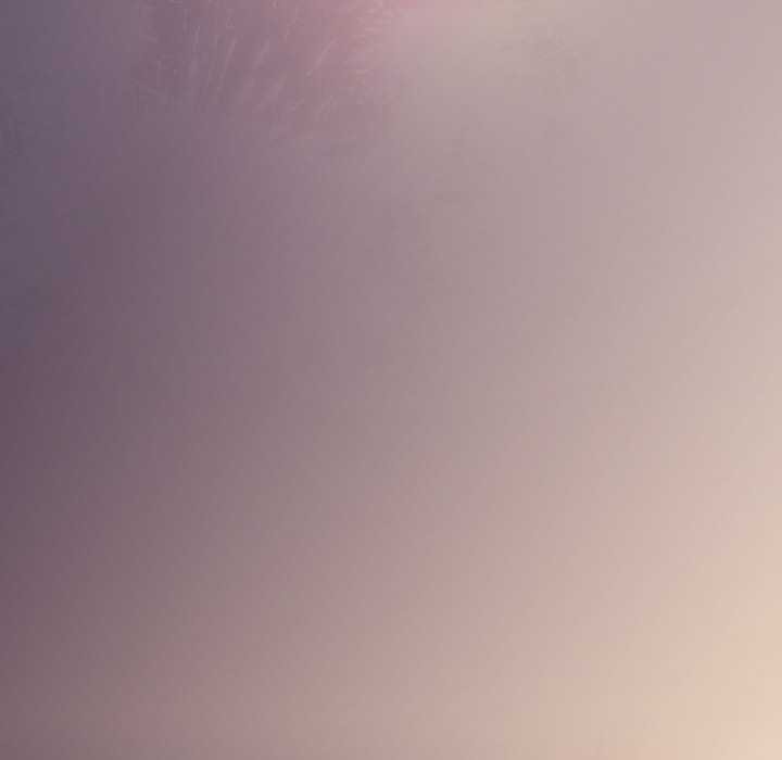 神圣陷阱第22話