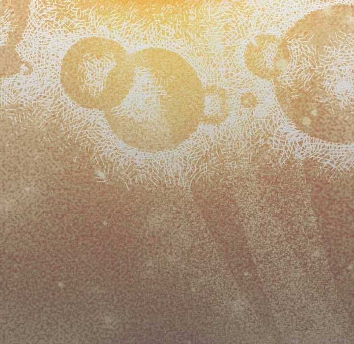 神圣陷阱第22話