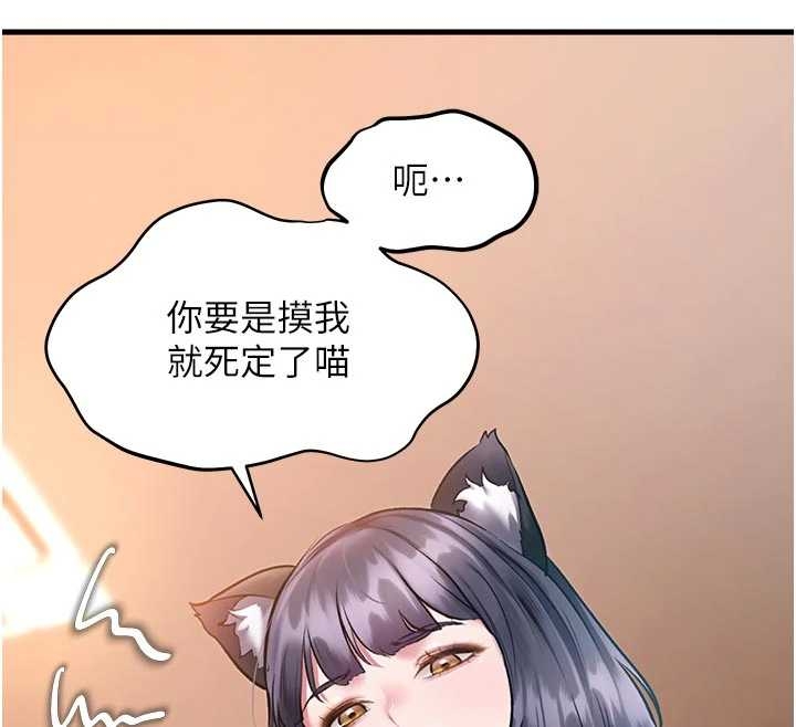 特色新视界第17話-馴服野貓守則