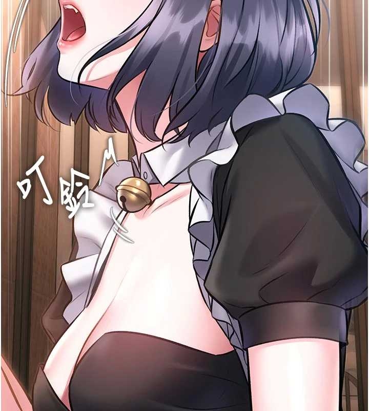 特色新视界第17話-馴服野貓守則