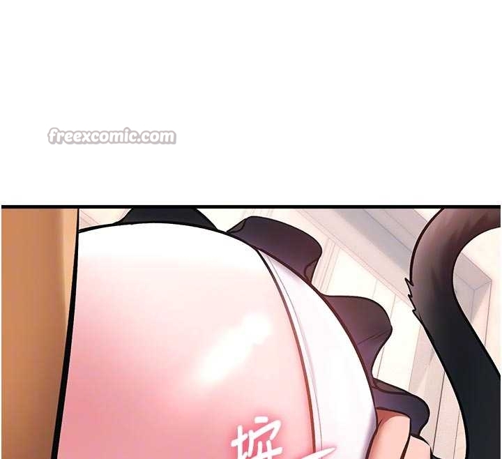 特色新视界第17話-馴服野貓守則